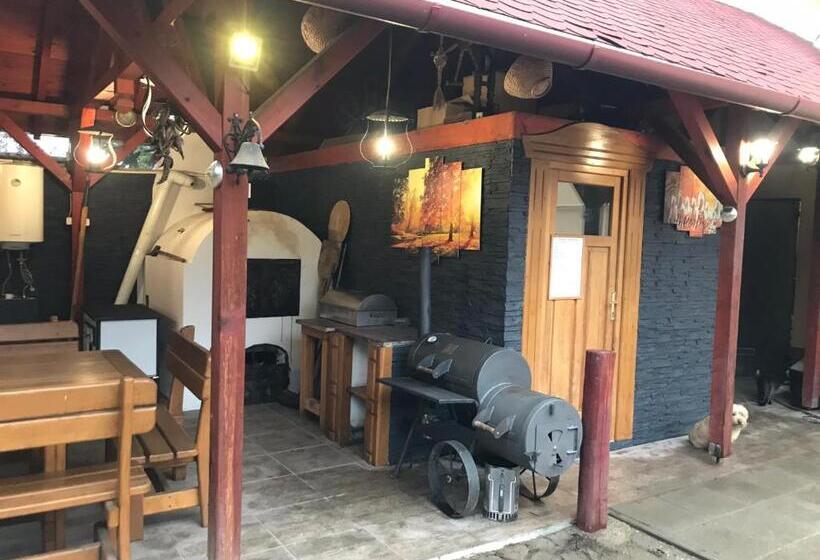 펜션 Viki Vendégház