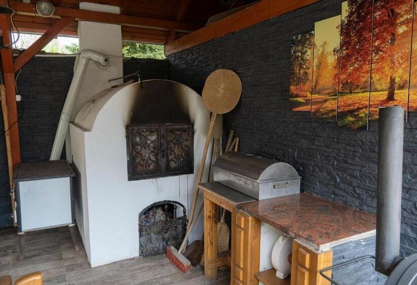 بنسيون Viki Vendégház