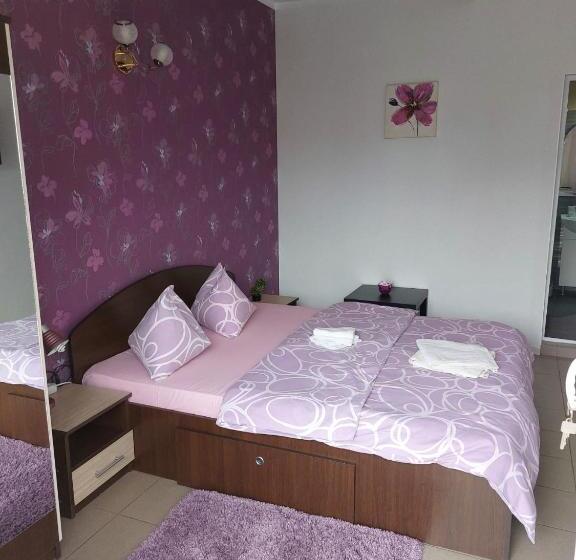 بنسيون Vila Alexandru