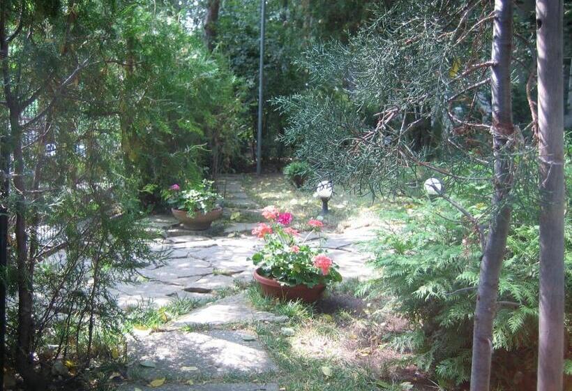 פנסיון Vila Elena