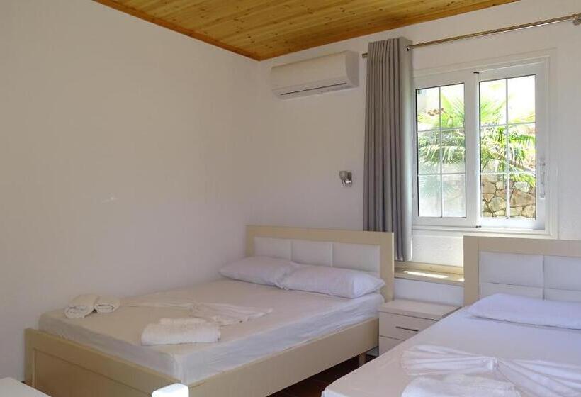 Пансион Villa Lions