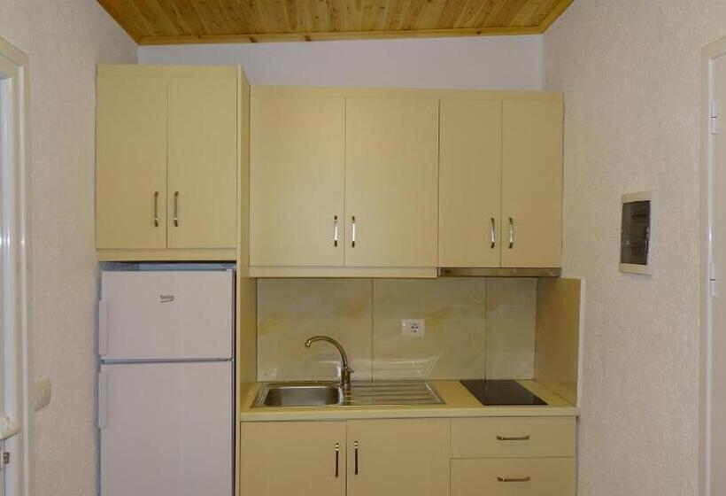 Пансион Villa Lions