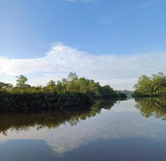 Пансион Villa River View