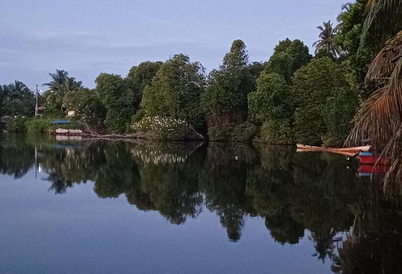 פנסיון Villa River View