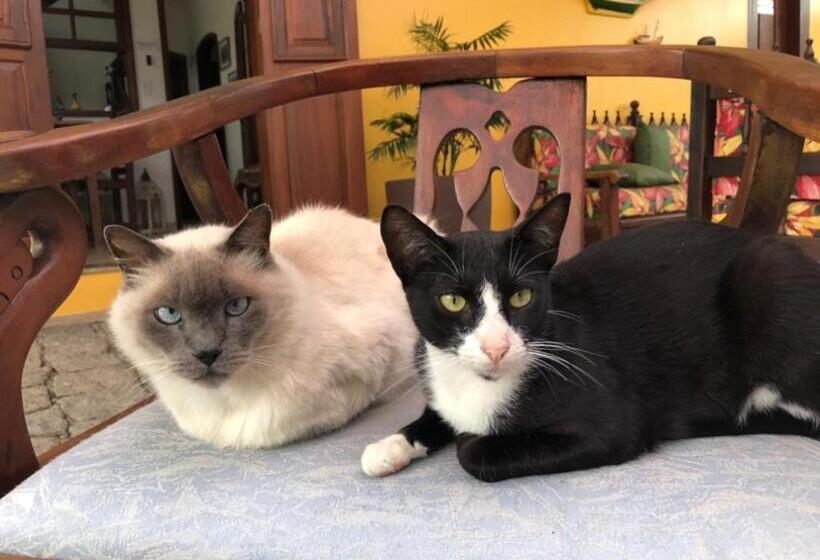 膳宿费 Viva Brasil Pousada