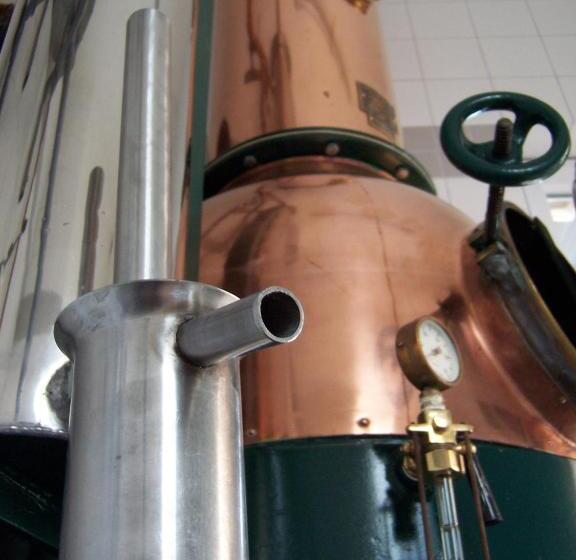 Пансион Weingut Koch