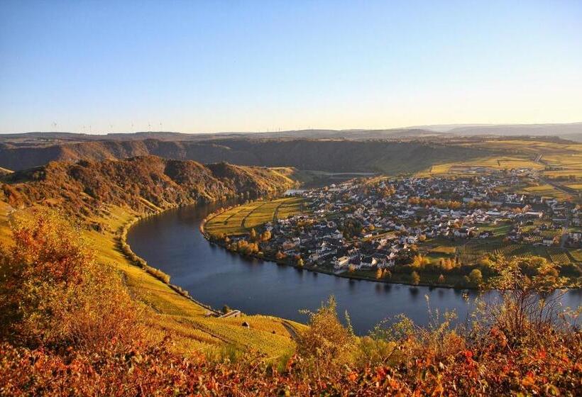 Пансион Weingut Koch