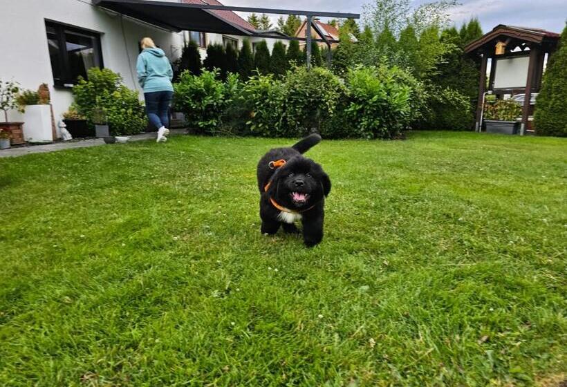 Pension Haus Am Wald