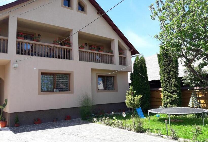 Pensiunea Todorica Sergiu