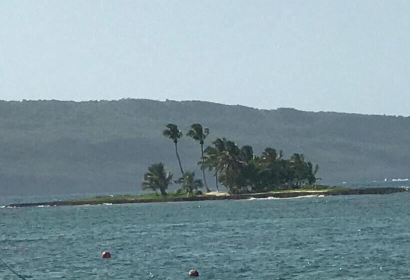 Vista Mare Ocean View Top Floor Condo, Samana