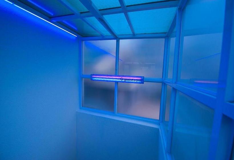 G Guesthouse Hongdae  Hostel