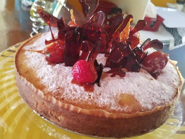 تختخواب و صبحانه Pousada Hibisco