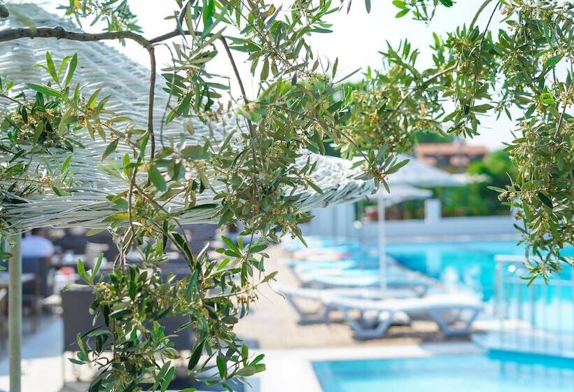 בית מלון כפרי Aloria Garden