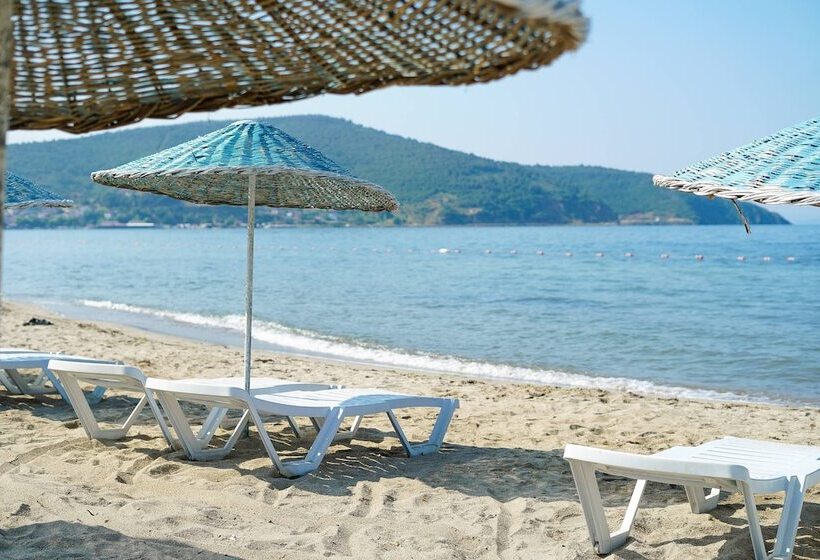 בית מלון כפרי Aloria Garden