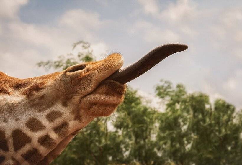 فندق Blue Hills Ranch