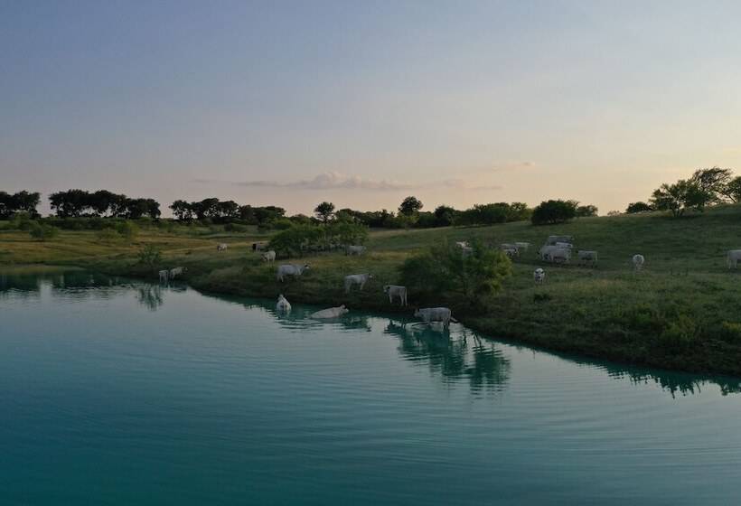 فندق Blue Hills Ranch