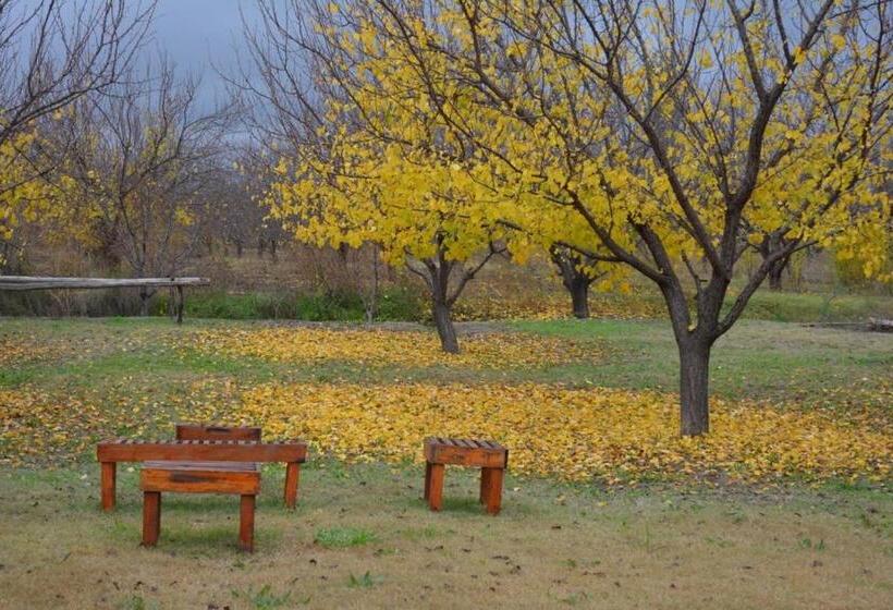 Отель Finca La Celestita