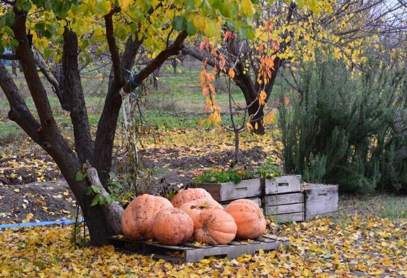 Отель Finca La Celestita