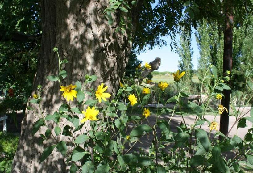 Отель Finca La Celestita