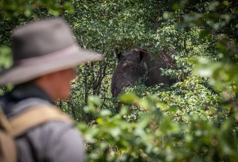 ホテル Klaserie Sands Safari Trails