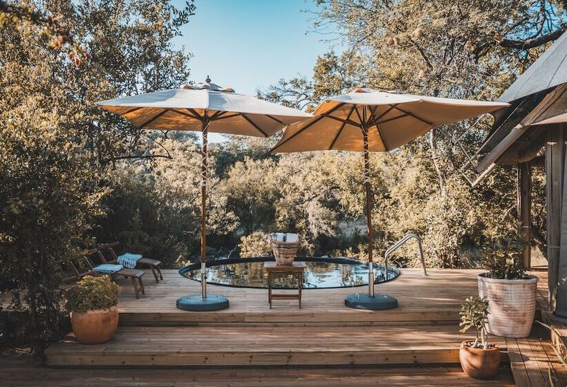 ホテル Klaserie Sands Safari Trails