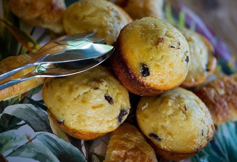 ホテル Klaserie Sands Safari Trails