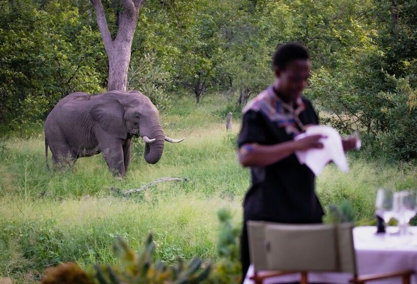 ホテル Klaserie Sands Safari Trails