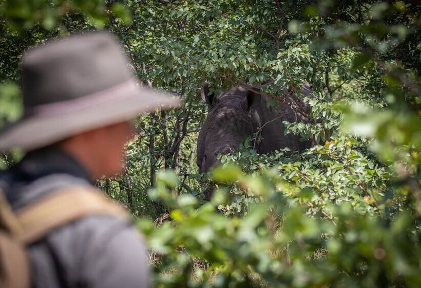 ホテル Klaserie Sands Safari Trails