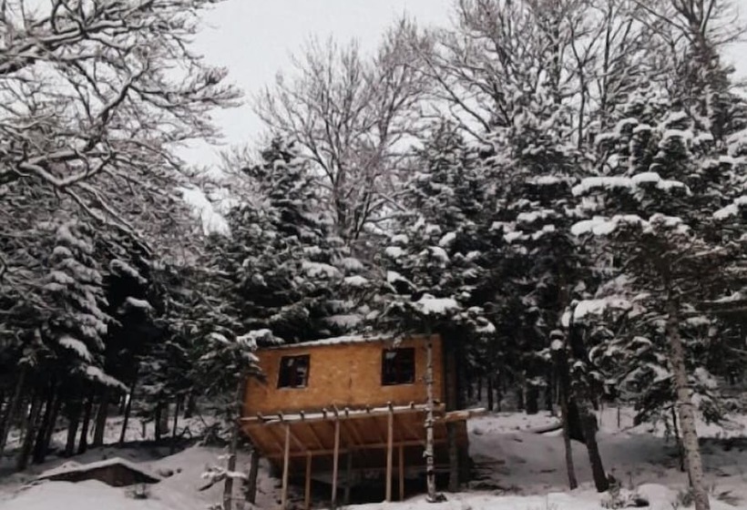 酒店 La Cabane Dans Les Arbres