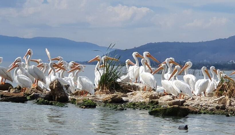 فندق Nimue Marina Residence