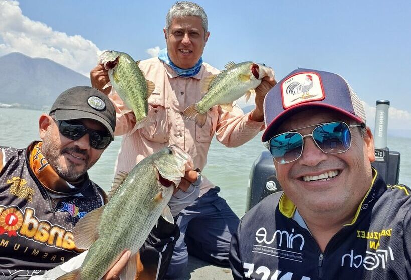 فندق Nimue Marina Residence