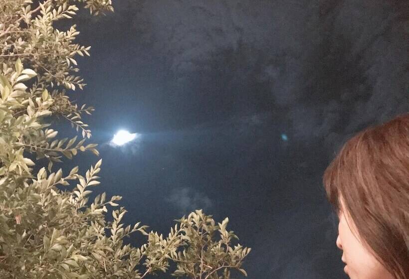 بنسيون Guest House & Bar Diamond Head