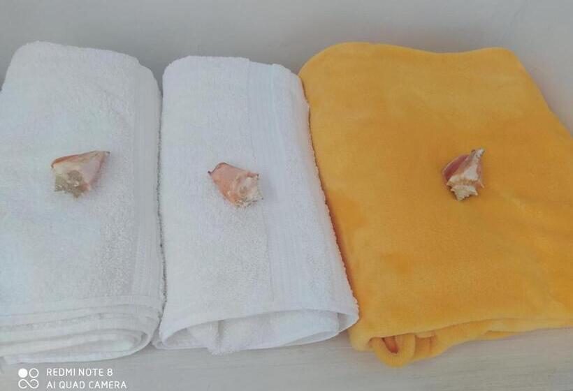 膳宿费 Los Versos De Zaira