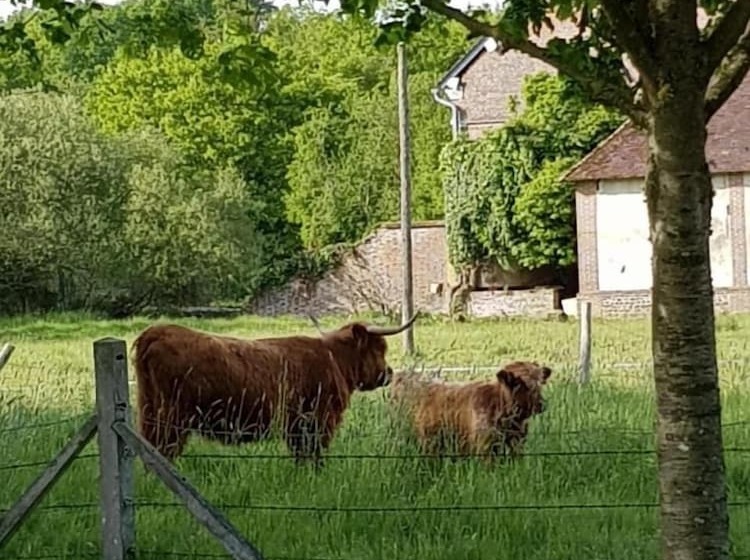 膳宿费 Rouge Maison