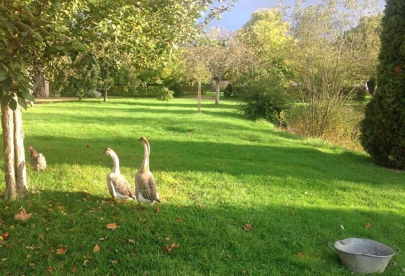 膳宿费 Rouge Maison