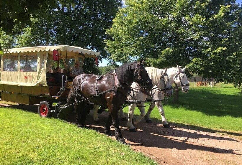 膳宿费 Rouge Maison