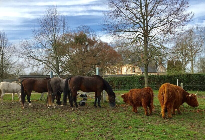 膳宿费 Rouge Maison