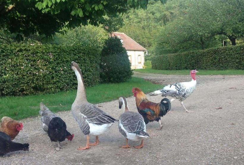 膳宿费 Rouge Maison