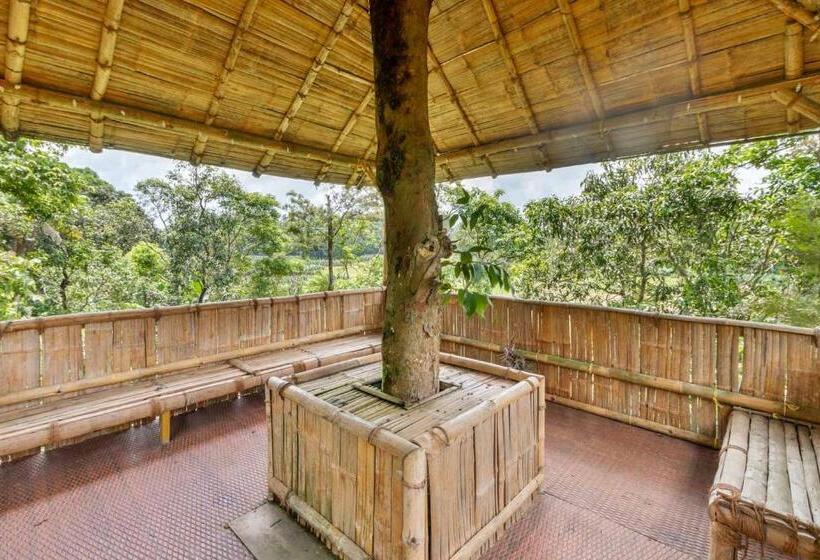 Курорт Stayvista At Serene Valley With Bonfire & Badminton