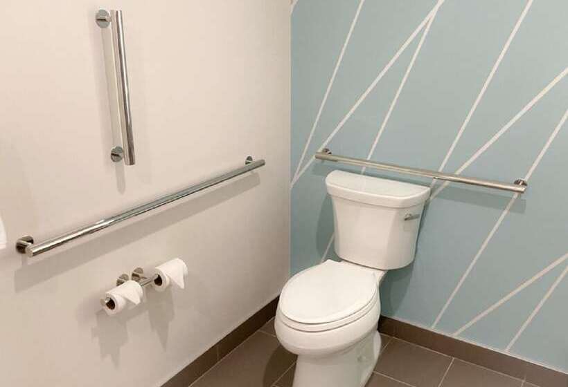 Avid Hotels Zeeland, An Ihg