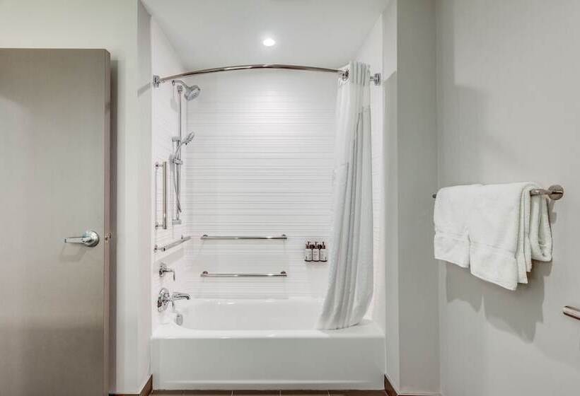 Avid Hotels Zeeland, An Ihg