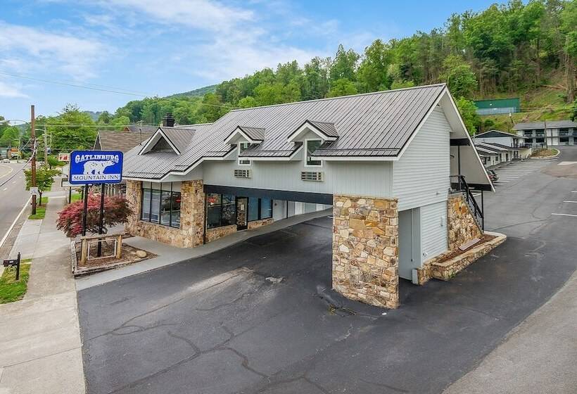 ホテル Gatlinburg Mountain Inn