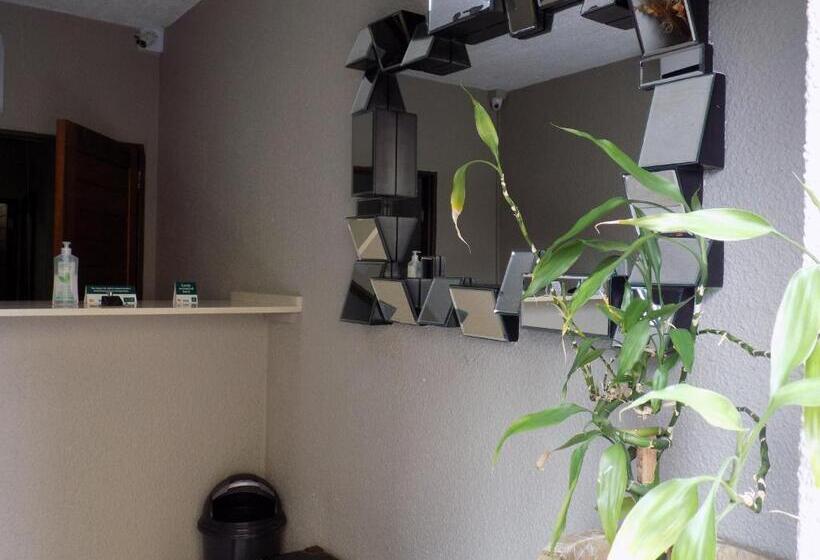 Отель Margate Beach Lodge