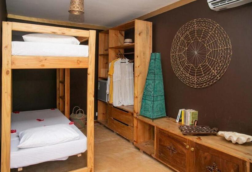 酒店 Natural Kendwa Villa