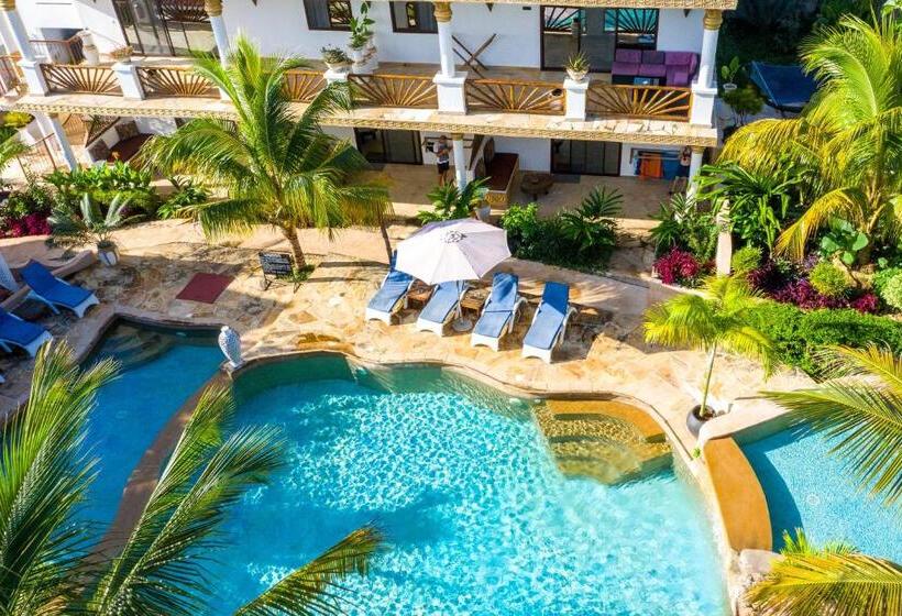 酒店 Natural Kendwa Villa