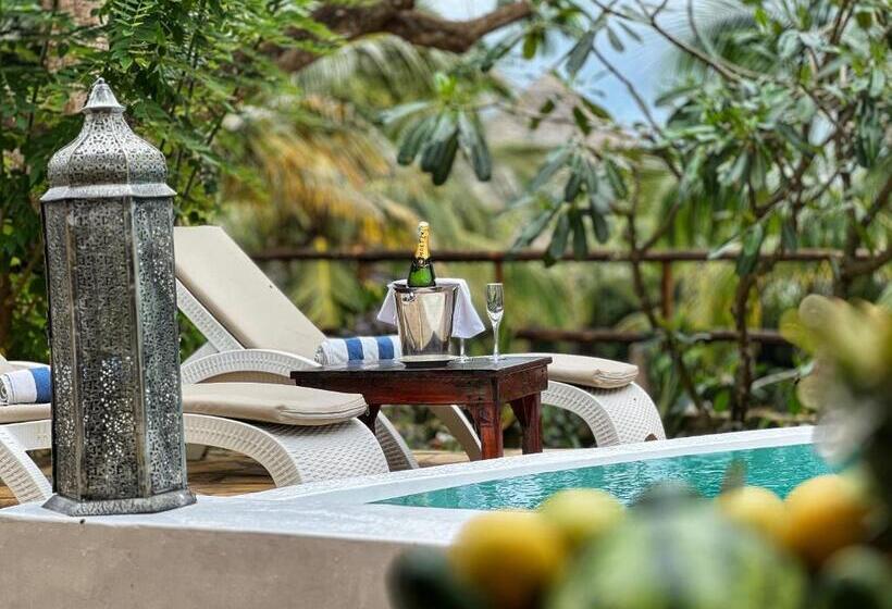 酒店 Natural Kendwa Villa