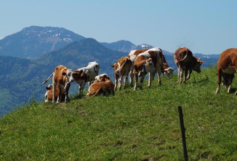 ホテル Schoberhof