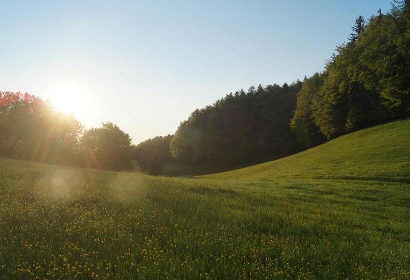 ホテル Schoberhof