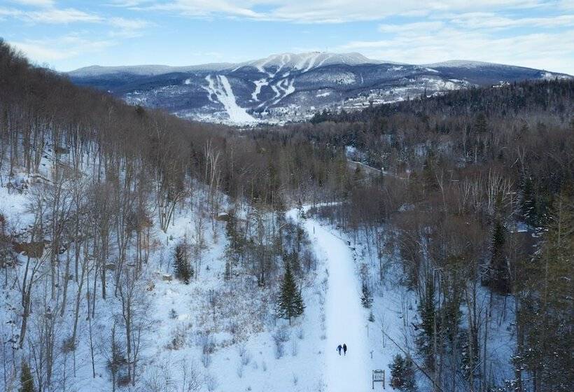 Maison Napoléon B&b