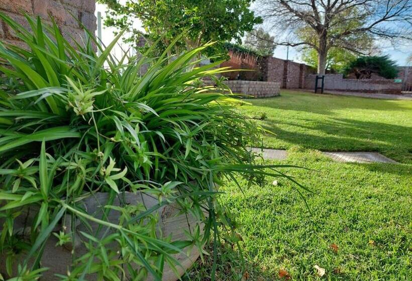 膳宿费 Aloes Guest House 62 On Meintjies